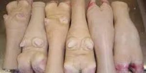 PROCESSED BUFFALO FEET