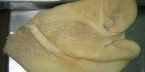 PROCESSED BUFFALO TRIPES