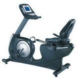 Commercial Recumbent Bike