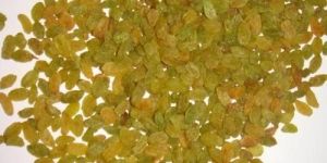 Green Raisin
