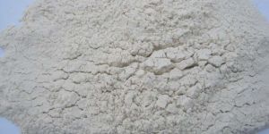 White Onion Powder