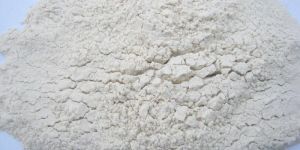 White Onion Powder