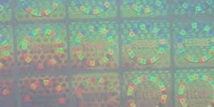 Transparent Holograms