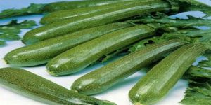 Fresh Green Zucchini