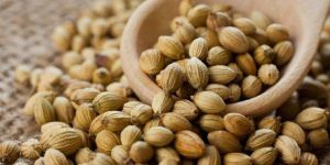 Coriander Seeds