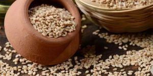 Natural Sesame Seeds