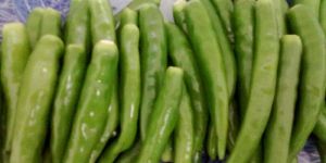 Green Chilly