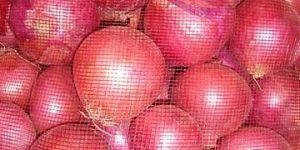 Red Onion