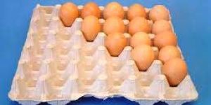 Plain Paper Egg Tray