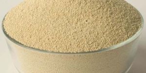 Soybean Meal