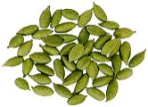 Cardamom