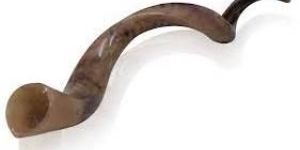 Horn Utensil, Bone Utensil