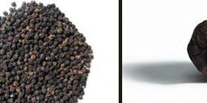 Black Pepper