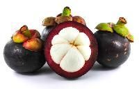 Mangosteen