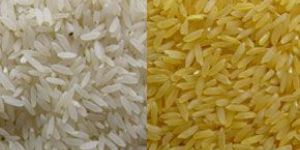 1121 White Sella Rice