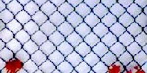 Chain Link Fence