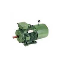 Brake Motors