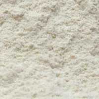 Dehydrated White Onion Powder