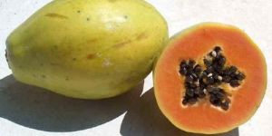 Fresh Papaya