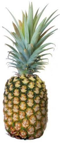 Fresh Pineapple