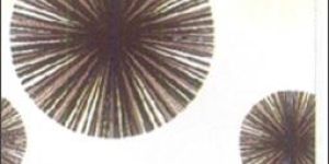 Highlighter Wall Tiles