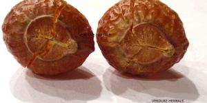 Soap Nuts , Sapindus Mukorossi