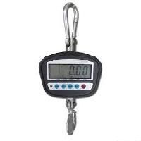 Electronic Crane Scale