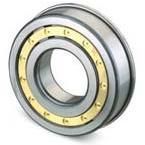 Flanged Outer Cylinder Roller Bearings