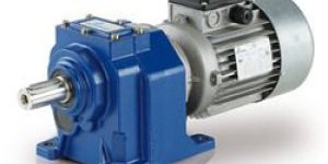 Gear Reducer Motor