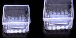 Square Disposable Plastic Containers