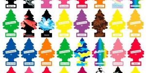 Little Tree Air Freshener