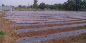 Soli Solarization Film