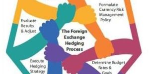 Forex Risk Management Policy