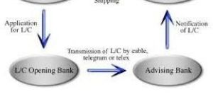 Letter Of Credit Services