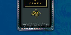 Organizer Diary