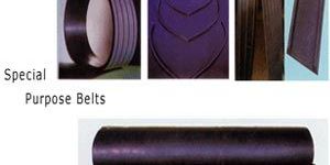 Special Customized Conveyor Belt