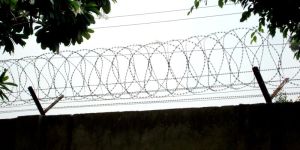 Galvanized Iron Concertina Coil