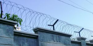 Punched Tape Concertina Coils