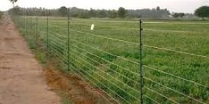Security Wire Fencing