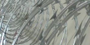 Single Coil Razor Wire