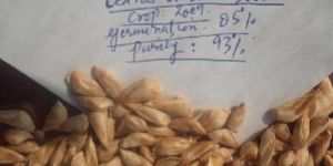 Timber Loader Cranes