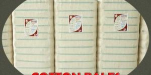 Raw Cotton Bales