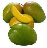 Fresh Mango