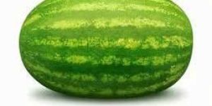 Water Melon