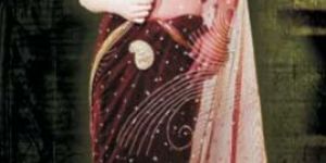 Designer Net Sarees