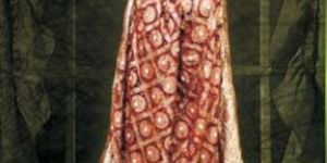 Designer Chiffon Sarees