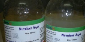 Nutrient Agar