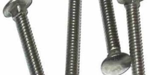 Stainless Steel Carriage Bolt