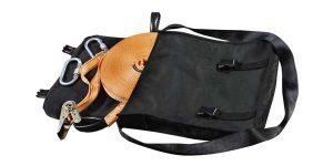 Temporary Horizontal Lifeline