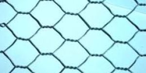 Hexagonal Wire Mesh
